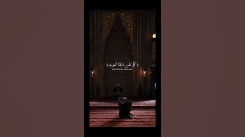 يَعِبَادِيَ الَّذينَ ءَامَنُوا🌼 //القارئ🎙️:عبد الرحمن مسعد #quran #قرآن #اكسبلور