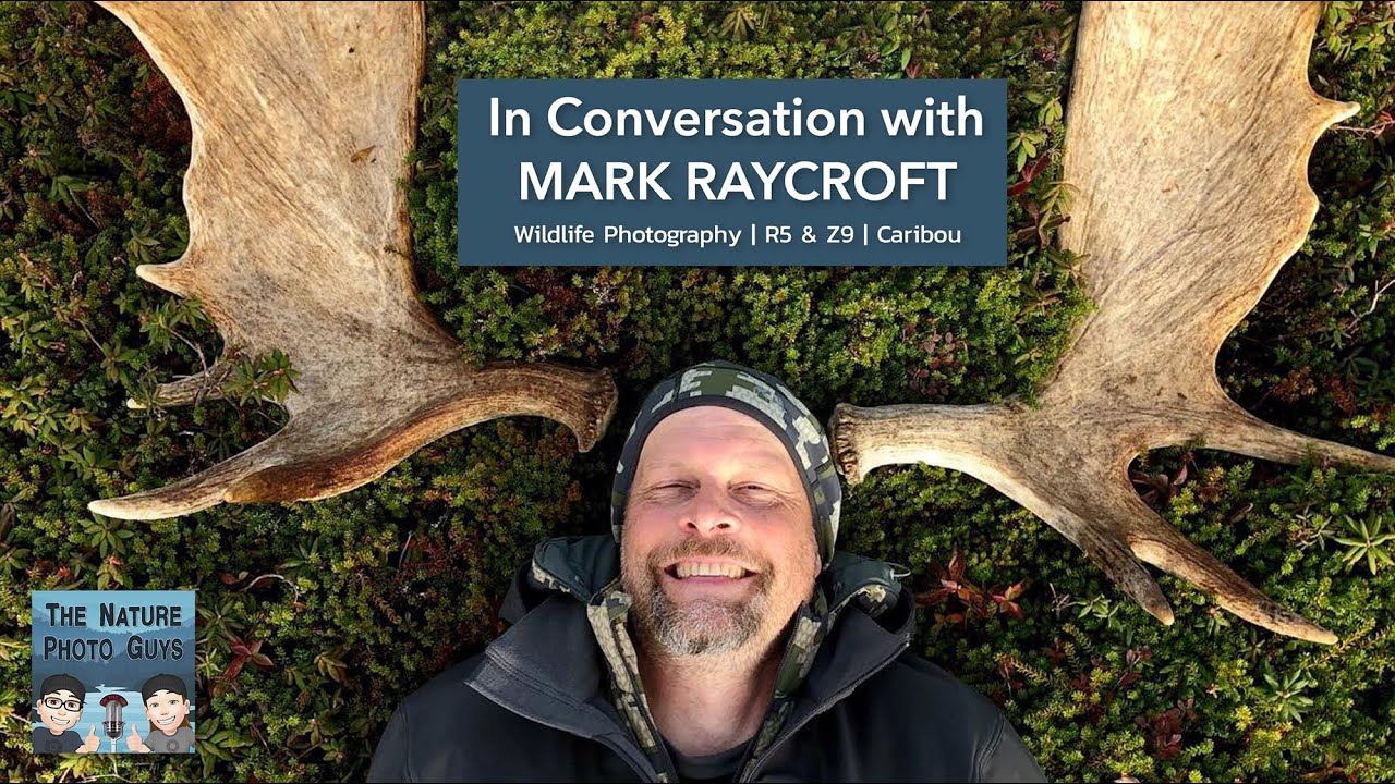 In Conversation with MARK RAYCROFT 