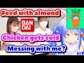 Even Bandai Knows Pekora's Almond Meme【ENG Sub / hololive】