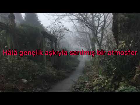 Each Time - Tamino || Türkçe Çeviri