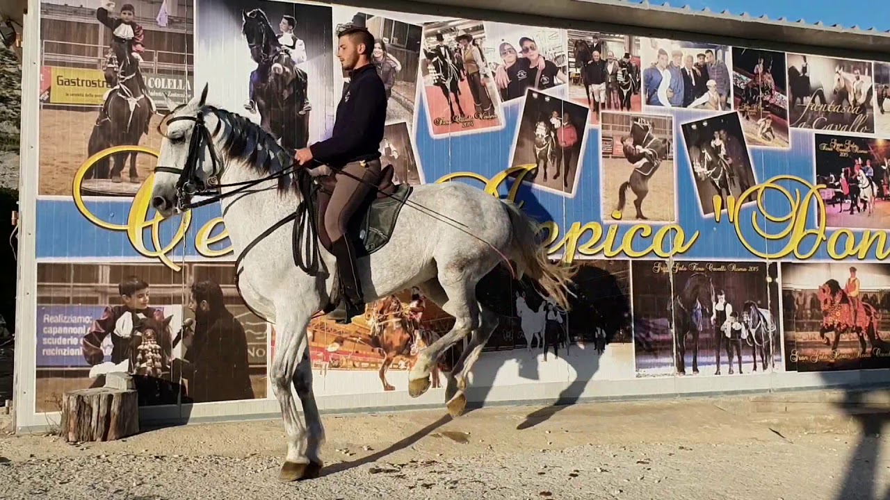 GRINDOSO PRE con Gino Giuseppe Castellana