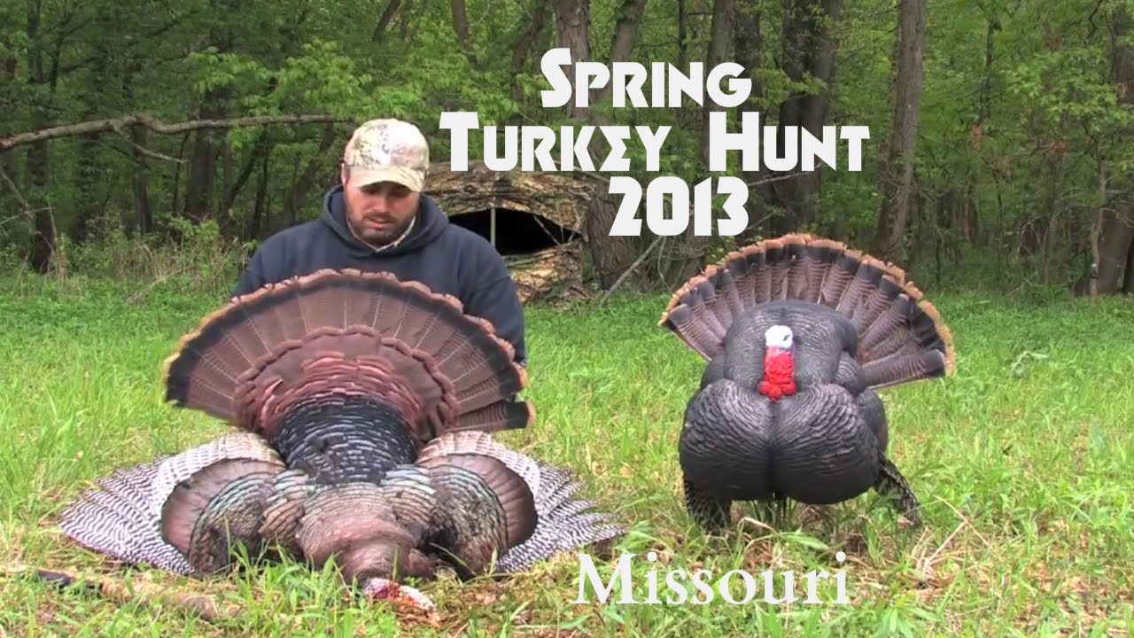 Turkey Hunting 2013 Big Missouri Gobbler MCO YouTube