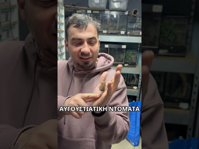 Άσε κάτω τον λουκουμά #thessaloniki #snake