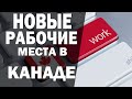 КАНАДА ВЫРАЩИВАЕТ КАННАБИС. НОВЫЕ РАБОЧИЕ МЕСТА В КАНАДЕ