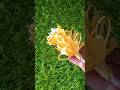 DIY paper flower#amazingpapercraft #diy 😃😃