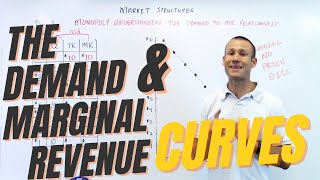 Monopoly:  Demand and Marginal Revenue Relationship