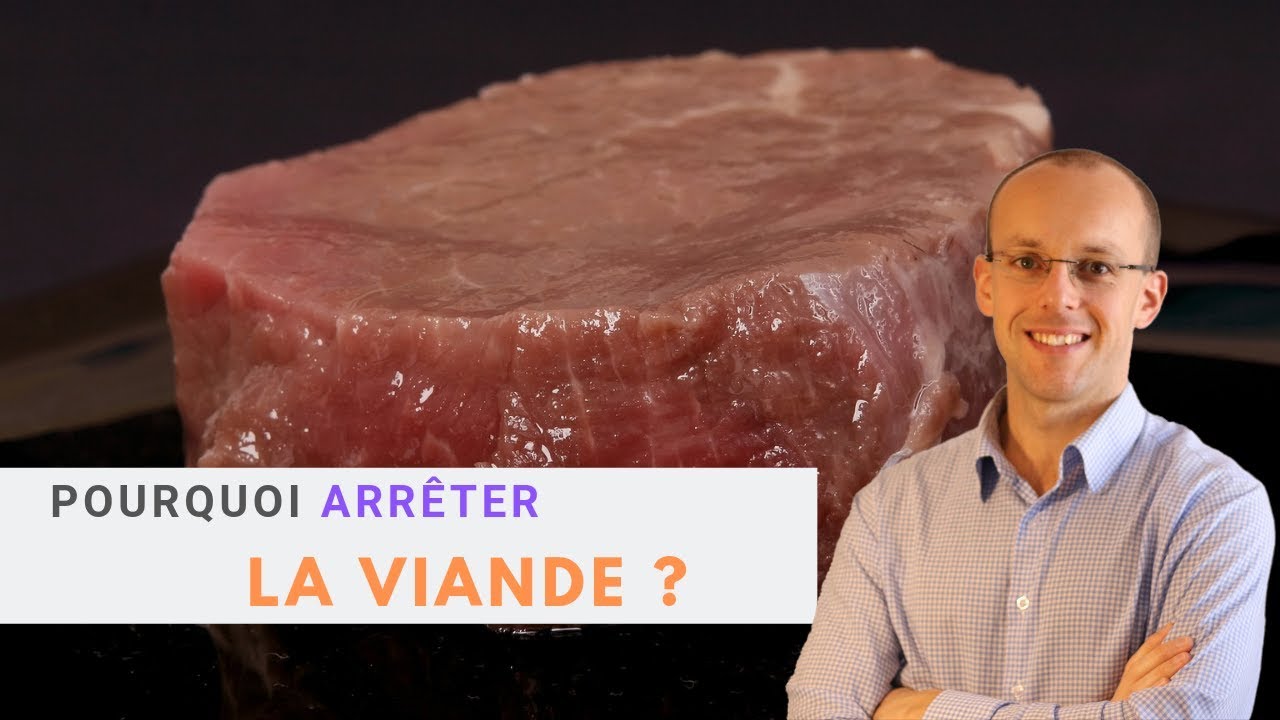 6 BONNES RAISONS d'arrêter la viande - YouTube