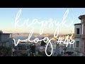 February: Birthmonth 2018 | KRAPSYK Vlog #46
