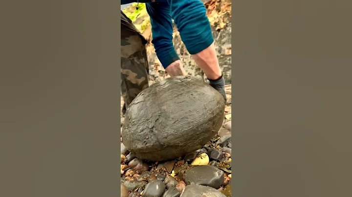 ENORMOUS Rock Cracked for Fossils 🥴