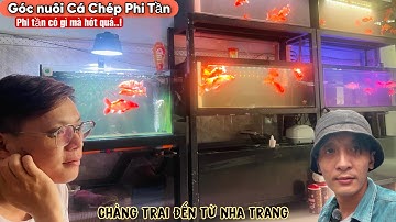 Góc nuôi Cá Chép phi tần đam mê của chàng trai Nha Trang - Thái Salem vê lốc