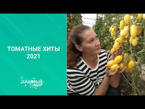 ТОМАТЫ - СУПЕР! АГРОНОМ ДАЕТ СОВЕТЫ ПО ВЫБОРУ СОРТОВ И ГИБРИДОВ ПОМИДОР НА 2021 г.