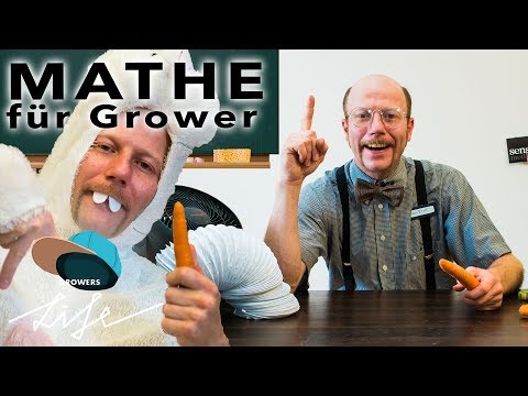 Mathestunde für GROWER!