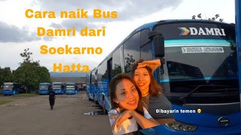 CARA NAIK BUS DAMRI DARI BANDARA SOEKARNO HATTA || ke Lebak Bulus cuma 90k