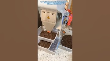 Mini color sorter excellent sorting performance for roasted coffee bean at customer site~ #machine