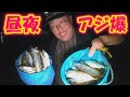 茨城県大津港で昼夜問わずアジが爆釣【アジング/サビキ釣り】