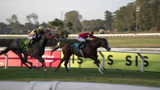 Vidéo de la course PMU PRIX CRACK DE SU GENERACION 1960