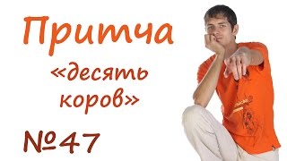 Притча видео Притча о слоне и черепахе | Журнал
