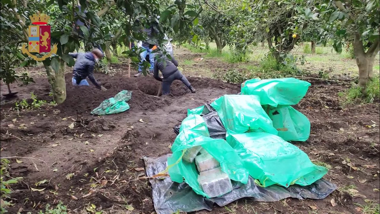 DROGA ARRESTATO ROCCO MOLE' FIGLIO DEL BOSS DI GIOIA TAURO