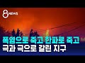 폭염·산불로 신음하는데…반대편에선 &#39;한파&#39;로 동사 / SBS 8뉴스