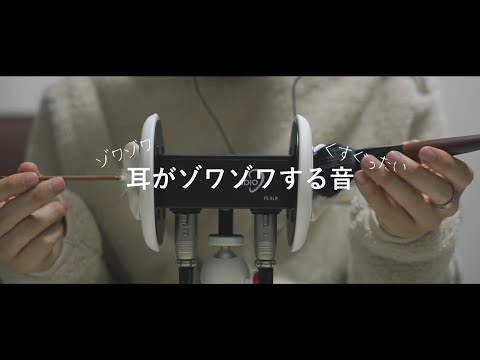 【ASMRバイノーラル】耳がゾワゾワするブラシと梵天の音、Brush sound【音フェチ】