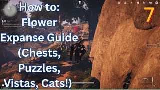 How to: Flower Expanse Guide (Chests, Puzzles, Vistas, Cats!) Where Winds Meet