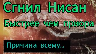 Обзор нисан примьера Сгнил быстрее ваза. машина которой 10 лет, выглядит на 30 Nissan Primera