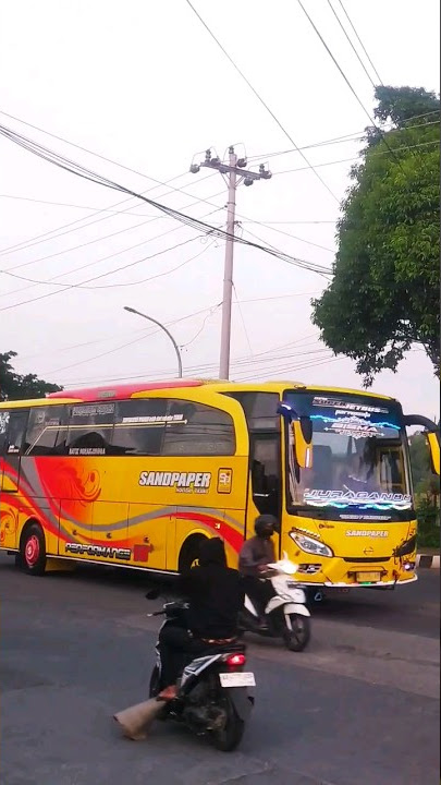 Sandpaper full basuri #bis  #busmania  #busindonesia #sandpaper #buspariwisata #basurihorn #shorts