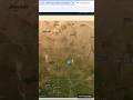Download Landsat images #gis #landsat #shorts #viral