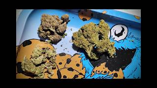 Smoke One #8 - INCOMING PACKS - GDP & SHERBLATO BLUNT