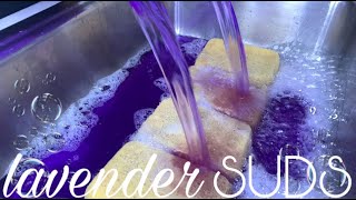 💜 ASMR 2 GALLONS OF LAVENDER FABULOSO 💜