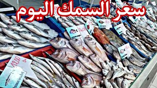 اسماء وانواع السمك اليوم في الجزائر مسمكة الصخرة السوداء