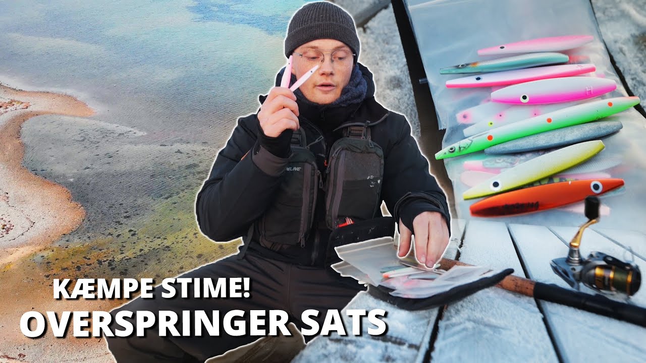 KÆMPE Stime Havørreder På Ultra Lavt Vand! Jagten På Overspringeren