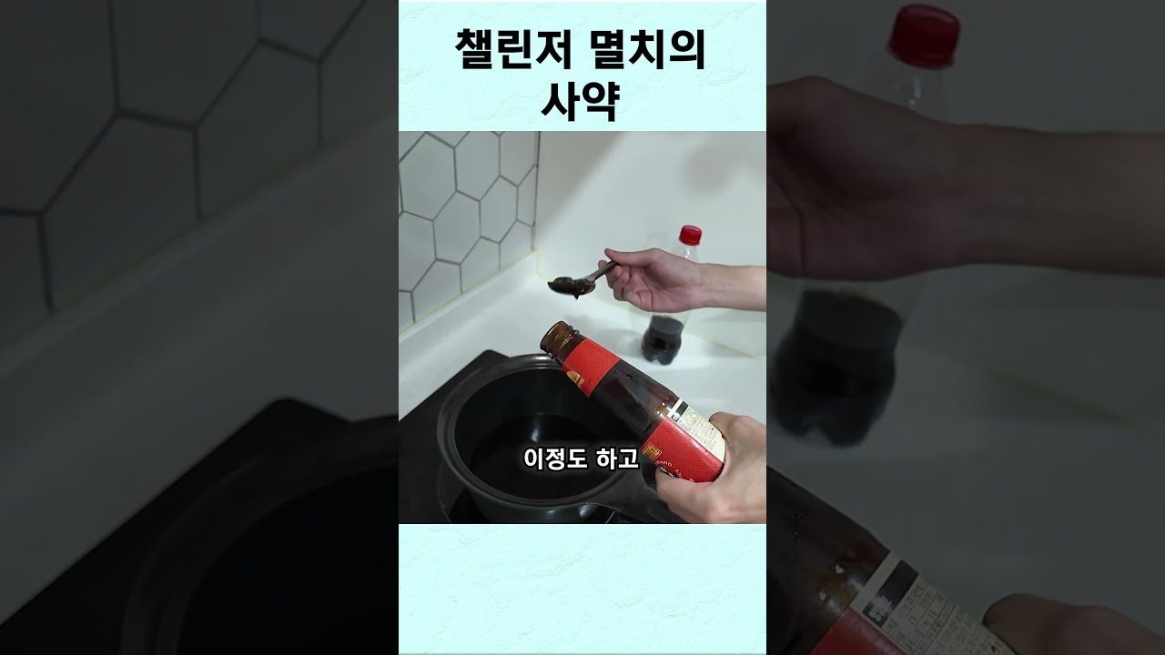 멸치의 비밀 콜라소스