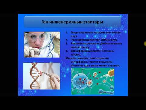 Video: Биология лабораториясында эмне кыласың?