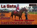 La Gata Cuadra China Nuevo Leon Reina De reinas 50yds  Octubre 3 2021 Rancho El Centenario