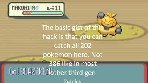 Pokemon Magma Ruby 202 : New Ruby Hack