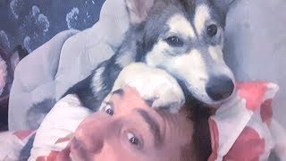 Не для слабонервных! Очень милое видео! СМОТРЕТЬ ДО КОНЦА! Не для слабонервных! Очень милое видео! СМОТРЕТЬ ДО КОНЦА!