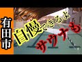 えみくる，有田市民水泳場，有田市に温水プールジムができたよ！この施設自慢できます！ふるさと納税も好調だから市民に恩恵！15億円のお金はどのようにして、そして維持費は、本当に良い施設！サウナまで！