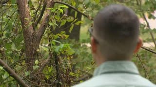 Flooding forces McKinney man to leave car and climb a tree