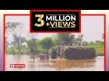 Talented Pakistani Tractor Driver crossing Canal | Tractor Crossing the Canal | Pakistani Talent