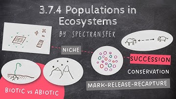 EASY REVISION AQA A-Level Biology 3.7.4 Populations in Ecosystems