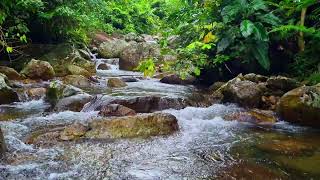 Study Flow • 1 Hour • Gentle Water Ambience To Boost Reading Focus & Learning Efficiency 4K