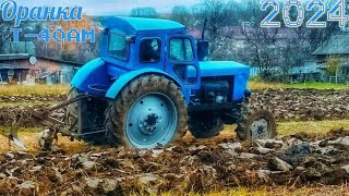 :  . -40 2024
