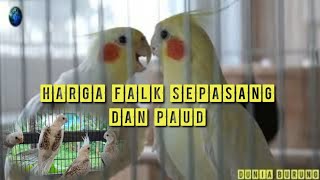 UPDATE HARGA FALK SEPASANG DAN PAUD/DEWASA