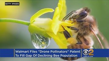 Walmart Wants To Patent Drone Bees