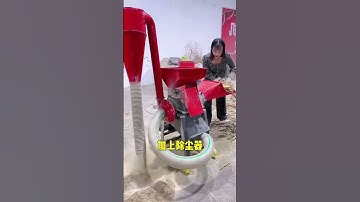 pig feed, grass cutter, silage cutter, duck feed, chicken feed #pigfeed #grasscutter #silagecutter