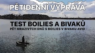 TEST BOILIES™ 🥶MRAZIVÁ PĚTIDENNÍ VÝPRAVA S BIVAKY AVID - ZKOUŠÍME BOILIES SHAMAN, MIKBAITS A NASH🎣