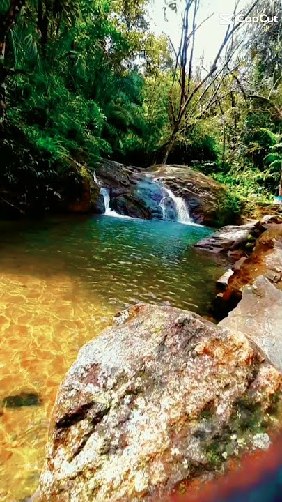 💫Anda dola . ආද දොළ 💙💚 #shortvideo #shorts #nature #entertainment #srilanka #himasarasamaratunga