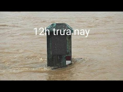 Lũ tại Quảng Ngãi vượt mức báo động 2009