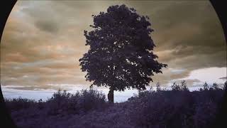 Red House Painters - Katy Song